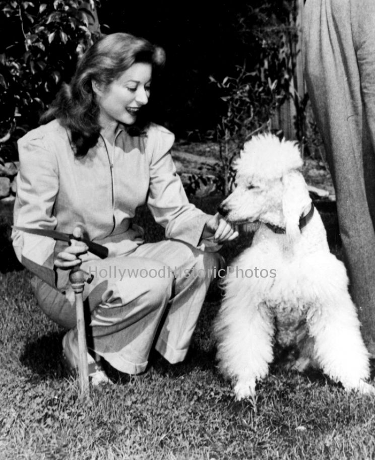 Greer Garson