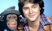 Greg Evigan