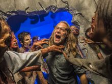 Greg Nicotero