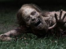 Greg Nicotero