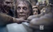 Greg Nicotero