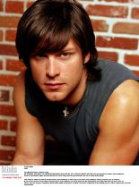 Greg Vaughan #526126 picture (Portrait Medium)