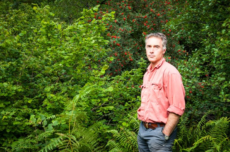 Greg Wise