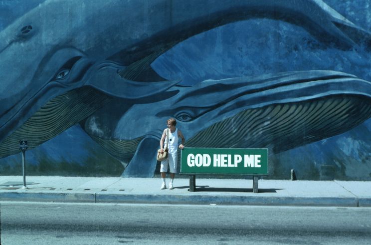 Gregg Araki
