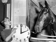 Gretchen Wyler photo
