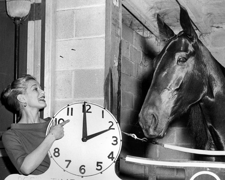 Gretchen Wyler