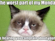 Grumpy Cat