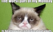 Grumpy Cat