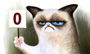 Grumpy Cat