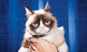 Grumpy Cat