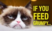 Grumpy Cat