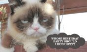 Grumpy Cat