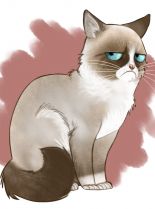 Grumpy Cat