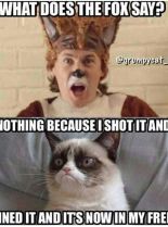 Grumpy Cat