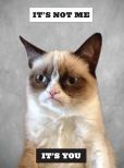 Grumpy Cat