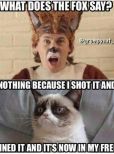 Grumpy Cat