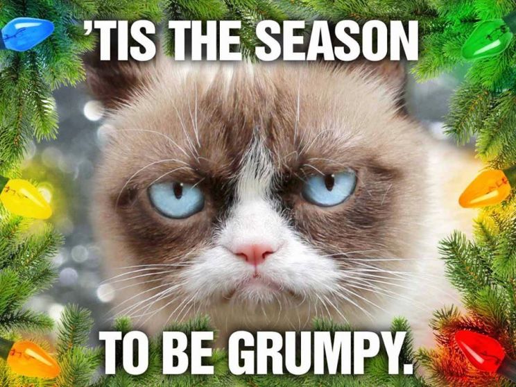 Grumpy Cat