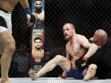 Gunnar Nelson