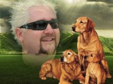 Guy Fieri