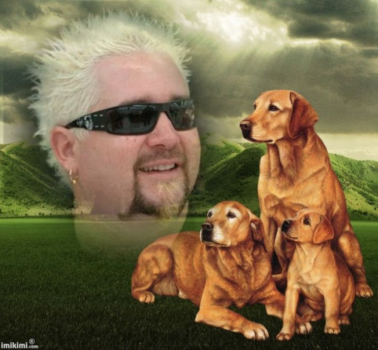 Guy Fieri