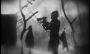 Guy Maddin
