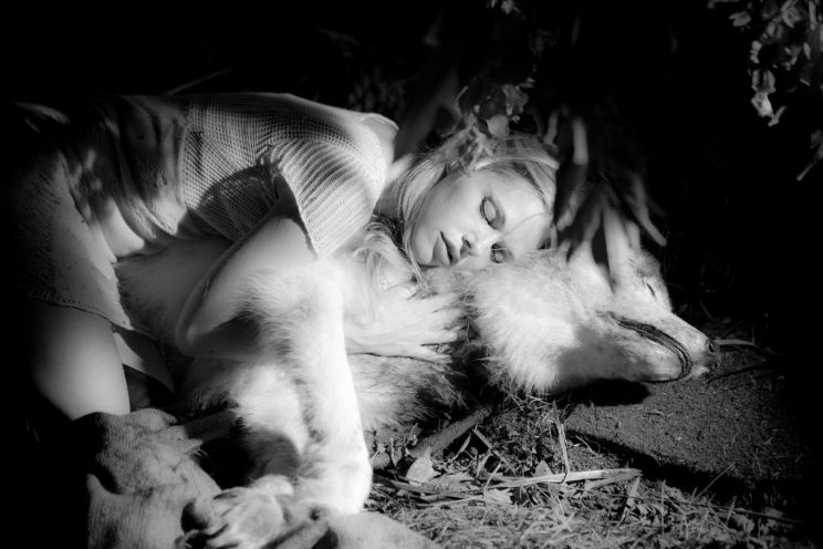 Guy Maddin