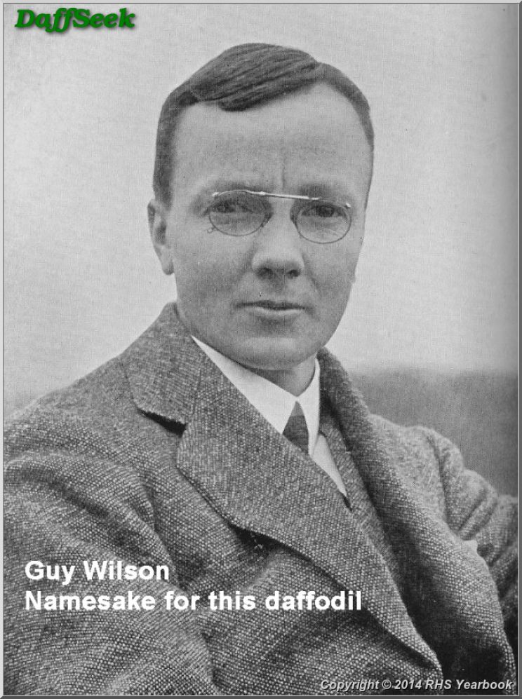 Guy Wilson