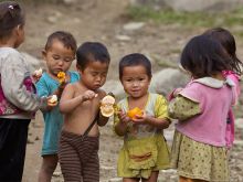 Ha Phuong