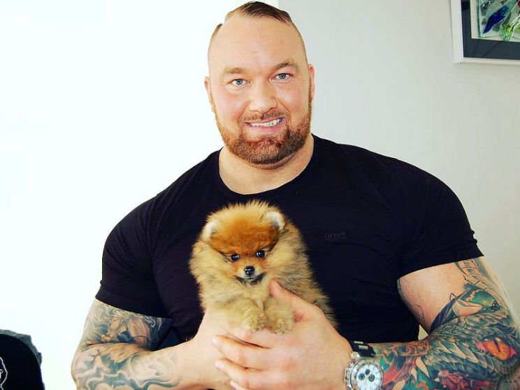 Hafþór Júlíus Björnsson