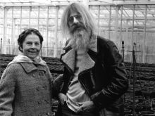 Hal Ashby