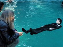 Hal Ashby
