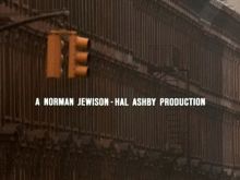 Hal Ashby