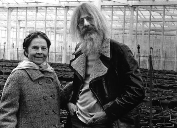 Hal Ashby