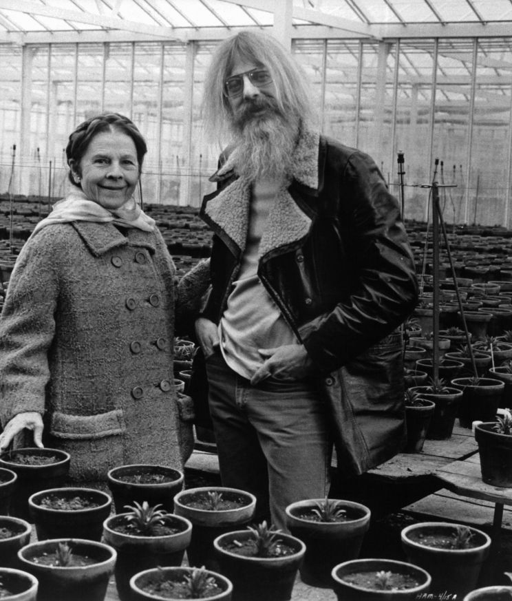 Hal Ashby