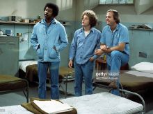 Hal Williams