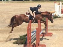 Haley Sims photo