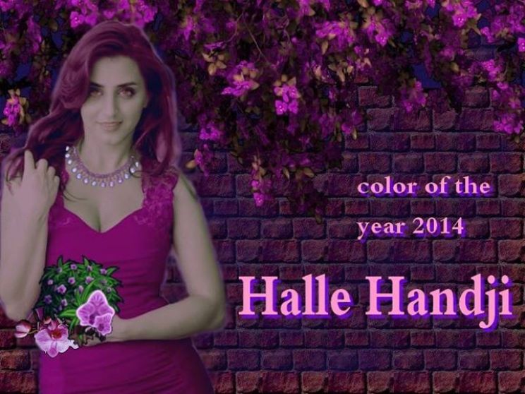 Halle Handji