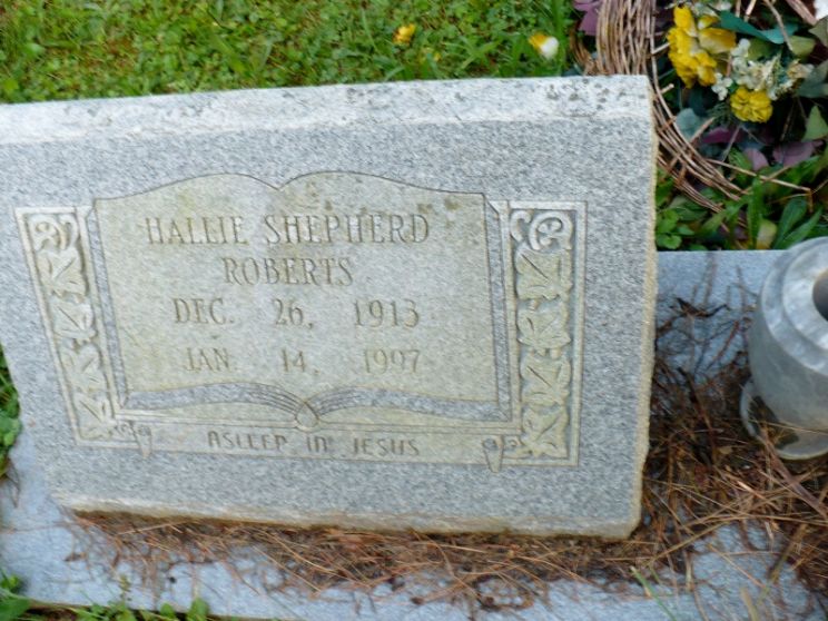 Hallie Shepherd