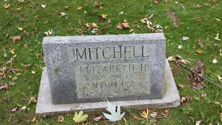 Hamilton Mitchell