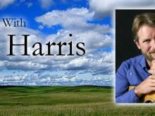Hank Harris