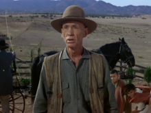 Hank Worden
