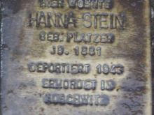 Hanna Stein