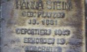 Hanna Stein