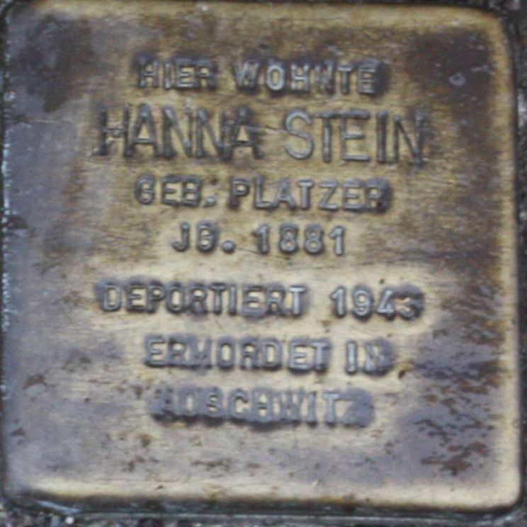 Hanna Stein