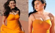 Hansika Motwani