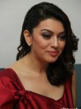 Hansika Motwani