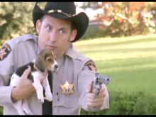 Harland Williams