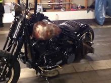 Harley Cross photo