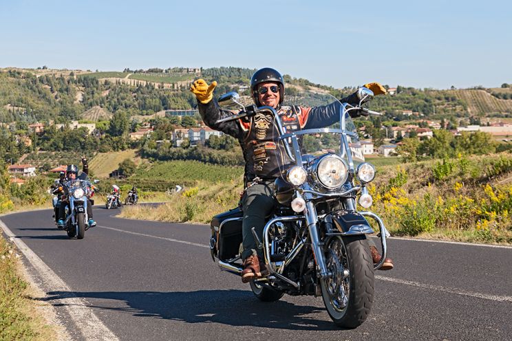 Harley Cross