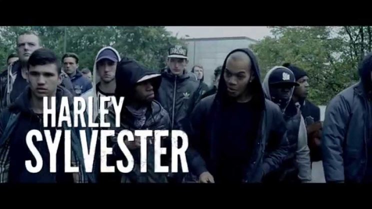 Harley Sylvester